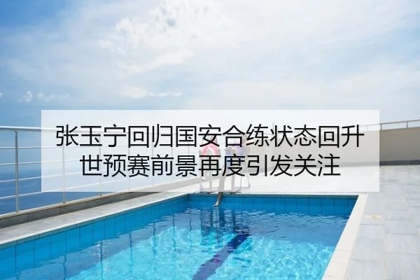 张玉宁回归国安合练状态回升 世预赛前景再度引发关注
